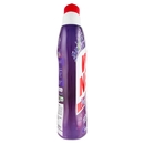 Wc Net - Profumoso gel, mountain fresh, 700 ml